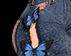 ButtaFly Jeans