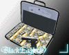 .BE69 Briefcase & Money