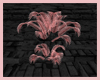 Pink EMO Fan Palm