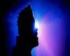The Weeknd.Zone