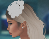 Hair Roses