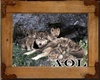 Family Of Wolfves