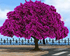 Animated city tree