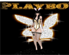 Playboy Animated circle