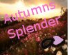 Autumn Splender