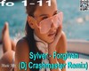 sylver & dj crashmaster