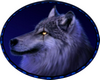 Rug wolf blue