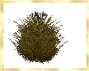 Golden-Grass-Tuft-furn