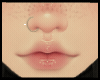 Silver Nostril R