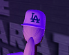 Stem LA Hat
