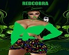 RC FLUO GREEN OUTFIT