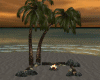 Palm Tree Campfire