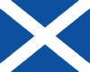 Saltire Hand Flag