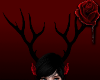 K | Black Antlers