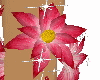 bangle flower lily