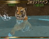 J2 Egypt Tiger Splash