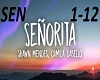 Shawn N Camila-Señorita