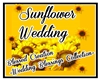 Sunflower Wedding Arch