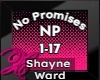 No Promises -Shayne Ward