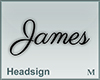 Headsign James