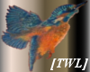 [TWL] kingfisher