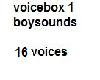 voicebox boy