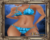 PHV Summer Bikini Blue