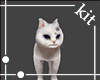 [kit]CAT Pet_White