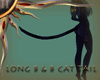 (II) Long B&B Cat Tail