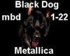 HB Black Dog
