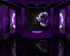 purple rose