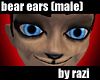 Bear Ear (Male)