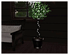 Cabin Lit Topiary Plant