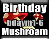 Birthday - Mushroom