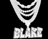BLAKE (cust)