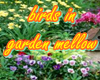 birds in garden mellow