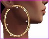 Big Gold Hoop Earrings