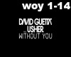 Guetta/Usher:Without You