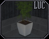 [luc] modern planter