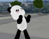 Cute Panda Outfit M/F