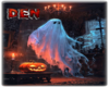 Spooky Halloween Pic 1