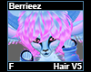 Berrieez Hair F V5