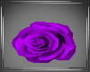 `SC Couture Rose Hat Prp