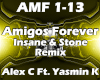 Amigos Forever Remix