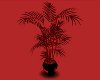 Red&Blk Willo Love Plant