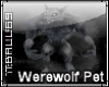 Werewolf "Wolfie"