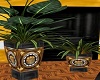 ~Must See 2 Plants Gold