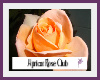 Apricot Rose Club
