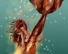  Fire mermaid 2 frame