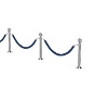 blue velvet ropes